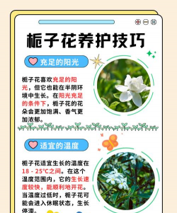 栀子花开花是什么季节 栀子花开花是什么季节