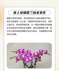 蝴蝶兰种什么土好 蝴蝶兰种什么土好