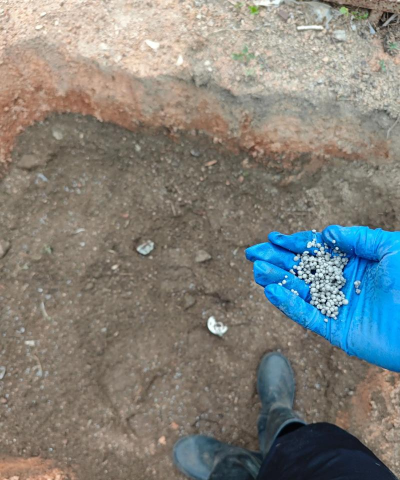 榴莲种植怎么育苗 榴莲种植怎么育苗
