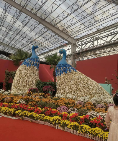 青州花卉博览会,赏花海盛宴,探产业新机 青州花卉博览会,赏花海盛宴,探产业新机