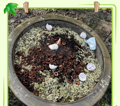 茶叶渣子能养花吗,废物利用变花肥,家庭园艺小妙招 茶叶渣子能养花吗,废物利用变花肥,家庭园艺小妙招