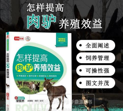 肉驴养殖,掌握关键技巧,提升养殖效益 肉驴养殖,掌握关键技巧,提升养殖效益