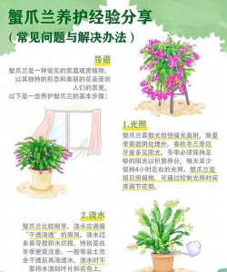 养花先养根,根系健康,花开才旺 养花先养根,根系健康,花开才旺