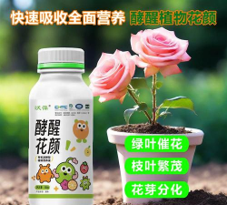 酵素养花,提升植物活力,改善土壤环境 酵素养花,提升植物活力,改善土壤环境