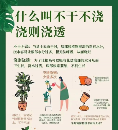 养花多久浇一次水,掌握浇水频率,避免烂根黄叶 养花多久浇一次水,掌握浇水频率,避免烂根黄叶