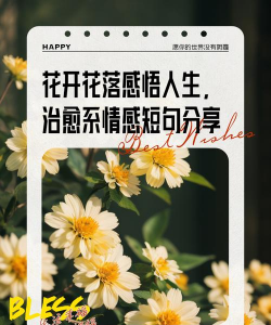 养花人生感悟,看花开花落,品生活滋味 养花人生感悟,看花开花落,品生活滋味