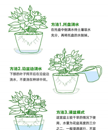 养花多久浇一次水,判断方法很简单,掌握技巧不烂根 养花多久浇一次水,判断方法很简单,掌握技巧不烂根
