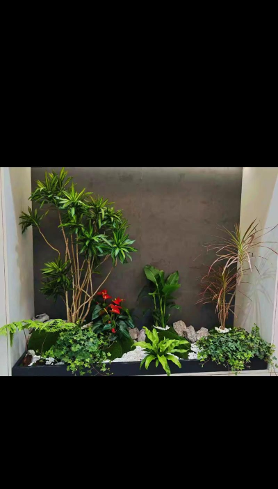 花卉盆栽室内,新手入门指南,轻松打造绿意空间 花卉盆栽室内,新手入门指南,轻松打造绿意空间