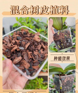 木炭能养花吗,改善土壤透气,促进植物生长 木炭能养花吗,改善土壤透气,促进植物生长