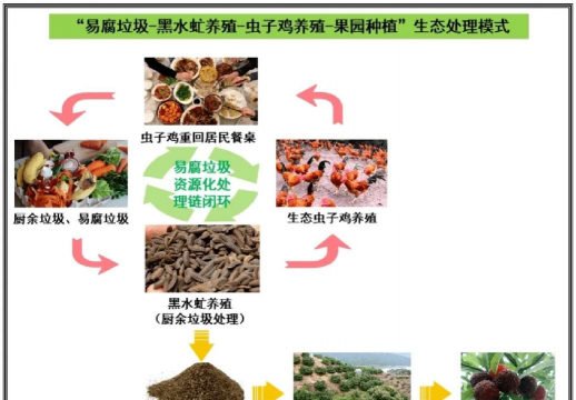 立体生态养殖模式,提升养殖效率,实现资源循环 立体生态养殖模式,提升养殖效率,实现资源循环