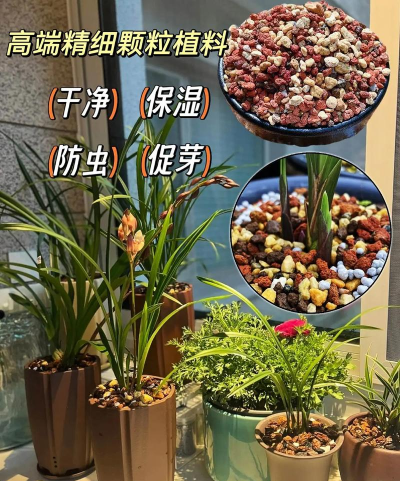 养花碎石,铺底透气,改善土壤 养花碎石,铺底透气,改善土壤