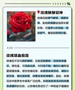 用血养花,真的可行吗,听听过来人怎么说 用血养花,真的可行吗,听听过来人怎么说