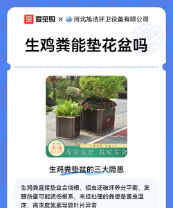 鸡粪能养花吗,了解正确用法,避免烧根风险 鸡粪能养花吗,了解正确用法,避免烧根风险