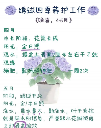 购买花卉,挑选技巧,养护要点 购买花卉,挑选技巧,养护要点