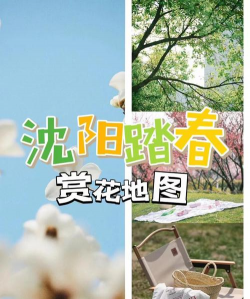 沈阳花卉,选购指南,养护要点 沈阳花卉,选购指南,养护要点