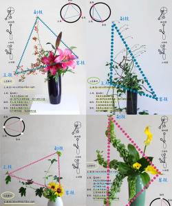 花卉进口,流程详解,常见问题解答 花卉进口,流程详解,常见问题解答