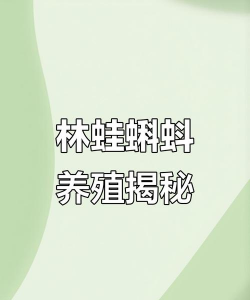 林蛙养殖技术,掌握关键步骤,实现高效养殖 林蛙养殖技术,掌握关键步骤,实现高效养殖