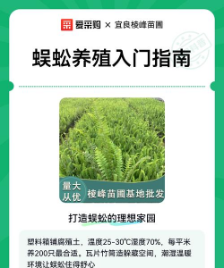 蜈蚣养殖技术视频,新手入门指南,常见问题解答 蜈蚣养殖技术视频,新手入门指南,常见问题解答