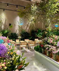 餐厅养花,提升氛围,美化环境 餐厅养花,提升氛围,美化环境