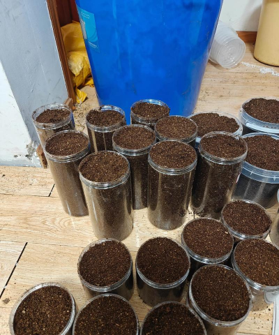 土鳖虫的养殖方法,掌握关键技巧,实现稳定增收 土鳖虫的养殖方法,掌握关键技巧,实现稳定增收