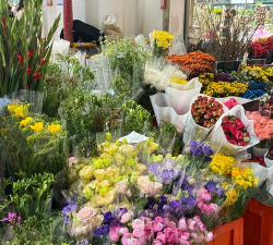 昆明花卉市场,鲜花种类多,价格也实惠 昆明花卉市场,鲜花种类多,价格也实惠