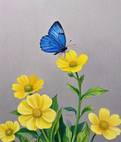 花卉绘画图片,提升审美情趣,丰富生活色彩 花卉绘画图片,提升审美情趣,丰富生活色彩