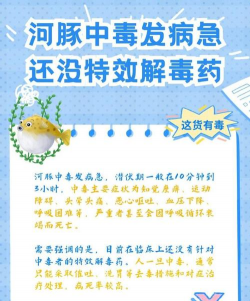 人工养殖的河豚有毒吗,毒性来源解析,安全食用须知 人工养殖的河豚有毒吗,毒性来源解析,安全食用须知