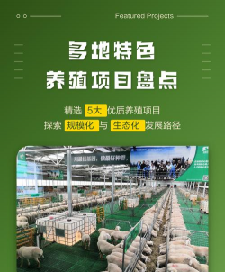 54个特种养殖项目,市场前景广阔,适合创业选择 54个特种养殖项目,市场前景广阔,适合创业选择