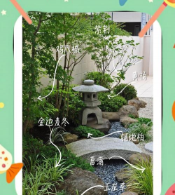 日本花卉,庭院美化首选,种植养护全攻略 日本花卉,庭院美化首选,种植养护全攻略