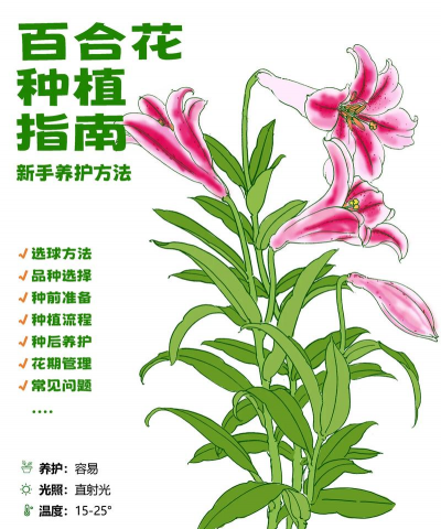 花卉培育,新手入门指南,轻松掌握技巧 花卉培育,新手入门指南,轻松掌握技巧