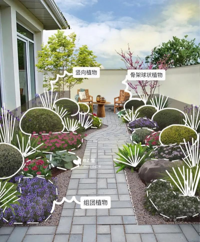 花卉植物大全,新手入门指南,轻松打造花园 花卉植物大全,新手入门指南,轻松打造花园