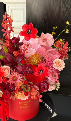 过年花卉,增添节日气氛,营造喜庆氛围 过年花卉,增添节日气氛,营造喜庆氛围