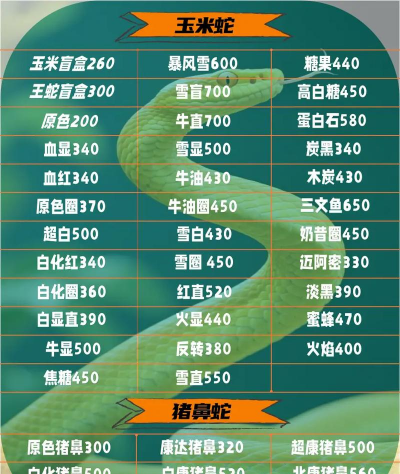 养殖100条大王蛇利润,成本投入分析,收益预估参考 养殖100条大王蛇利润,成本投入分析,收益预估参考