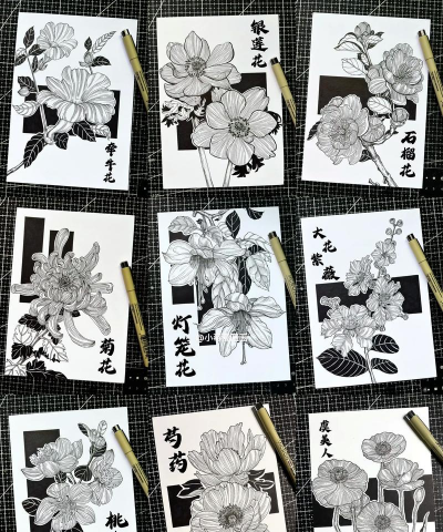 线描画花卉,掌握基本技巧,画出灵动美感 线描画花卉,掌握基本技巧,画出灵动美感