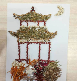 中药渣可以养花吗,废物利用,变废为宝 中药渣可以养花吗,废物利用,变废为宝