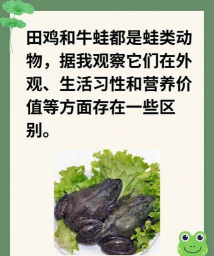 田鸡是牛蛙吗 田鸡是牛蛙吗