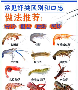 基围虾养殖,掌握关键技巧,实现稳定收益 基围虾养殖,掌握关键技巧,实现稳定收益