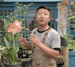 养花匠小齐视频,看什么内容,怎么找资源 养花匠小齐视频,看什么内容,怎么找资源