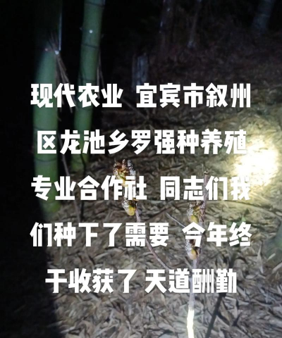 四川养殖基地,选择要点,发展前景 四川养殖基地,选择要点,发展前景