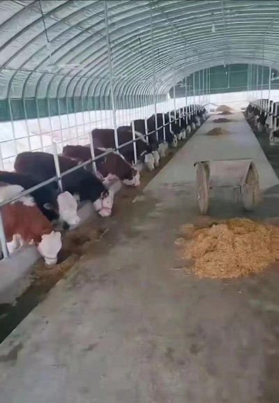 养殖大棚厂家,怎么选才靠谱,关键看这几点 养殖大棚厂家,怎么选才靠谱,关键看这几点