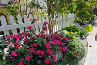 春天花卉,选对品种,轻松打造花园美景 春天花卉,选对品种,轻松打造花园美景