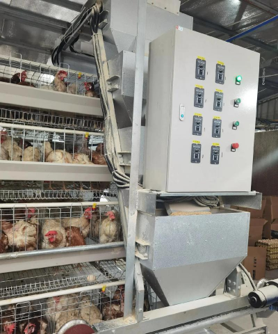 自动养殖设备,提升养殖效率,降低人工成本 自动养殖设备,提升养殖效率,降低人工成本