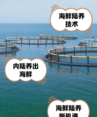 海域养殖,选择合适区域,掌握关键技术 海域养殖,选择合适区域,掌握关键技术