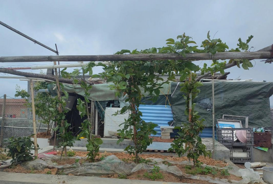 楼顶养殖,空间利用,实用技巧分享 楼顶养殖,空间利用,实用技巧分享