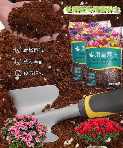 营养花土,选对用好,花草更健康 营养花土,选对用好,花草更健康