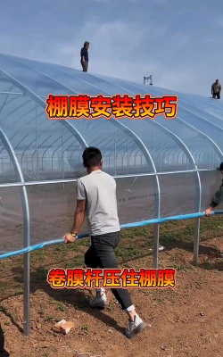 养殖大棚膜,选对材质,用对方法 养殖大棚膜,选对材质,用对方法