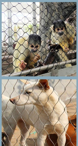 养殖防护网,防止动物逃跑,保护养殖安全 养殖防护网,防止动物逃跑,保护养殖安全