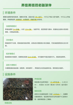 鳝鱼的养殖,掌握关键技巧,实现高效产出 鳝鱼的养殖,掌握关键技巧,实现高效产出