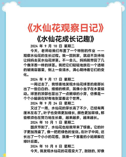养花的体会,分享真实感受,聊聊成长变化 养花的体会,分享真实感受,聊聊成长变化