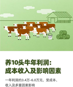 牛养殖利润,成本控制要点,收益提升方法 牛养殖利润,成本控制要点,收益提升方法